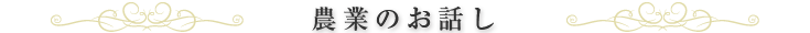 農業のお話し