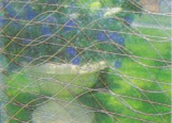 三菱ウエーブロック農業用波型糸入り強化ビニール写真