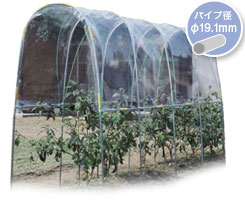 雨よけハウス Ａ-13商品画像