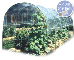 雨よけハウス A-25商品画像