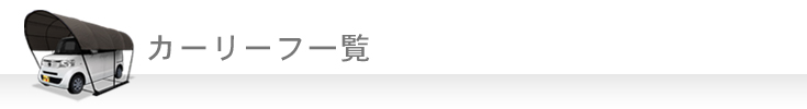 カーリーフ商品一覧　※全て組立セット商品です。