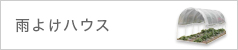 雨よけハウス