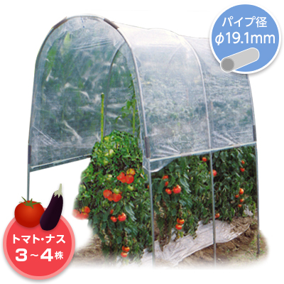 トマトの屋根 NT-18
