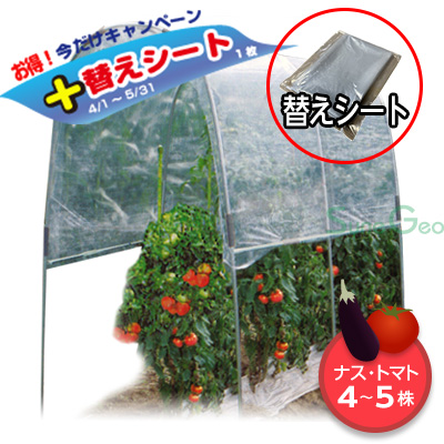 トマトの屋根 NT-27
