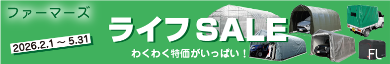 ��ǯ�̥����ڡ���